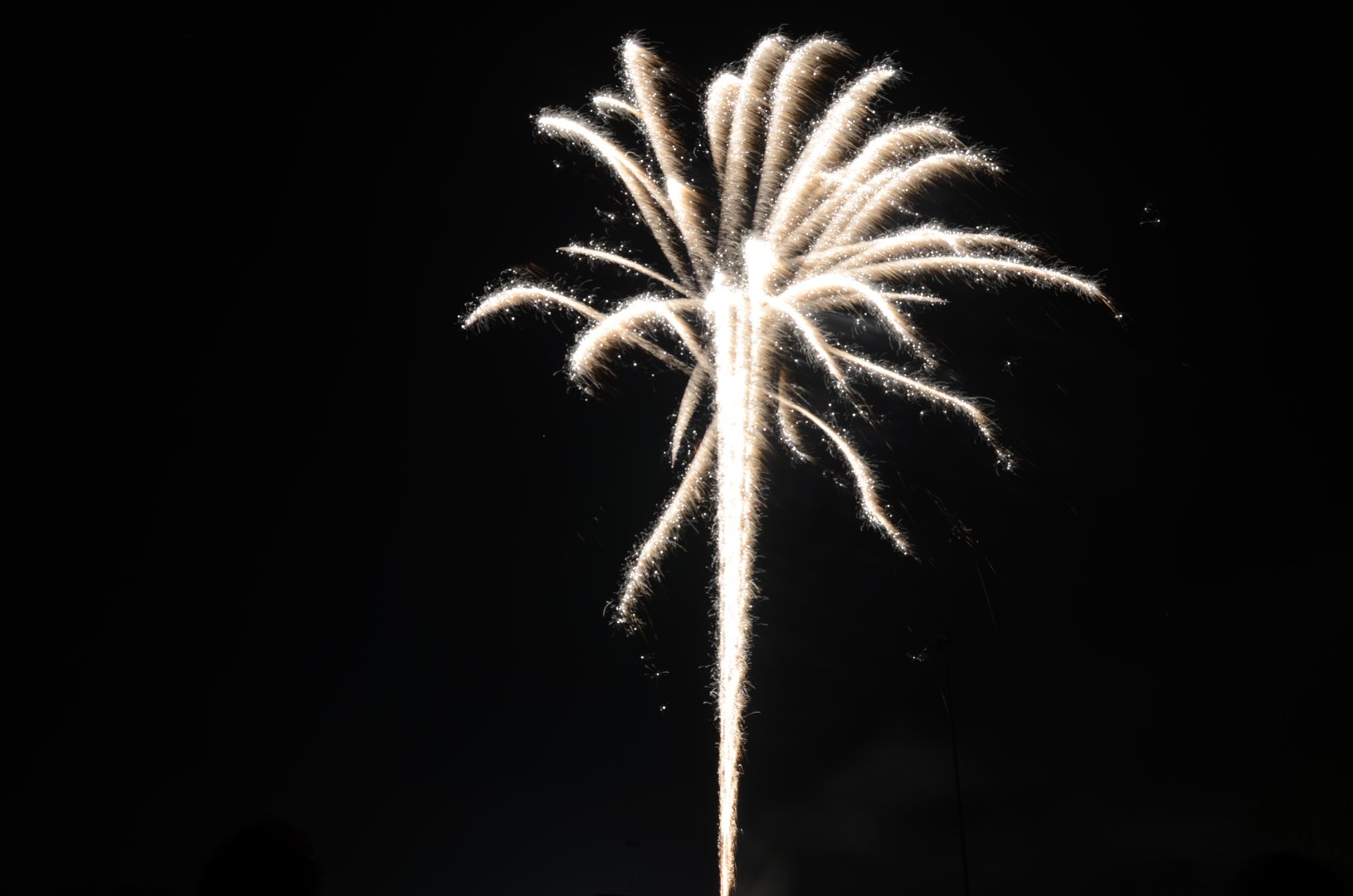 DSC_5046.JPG