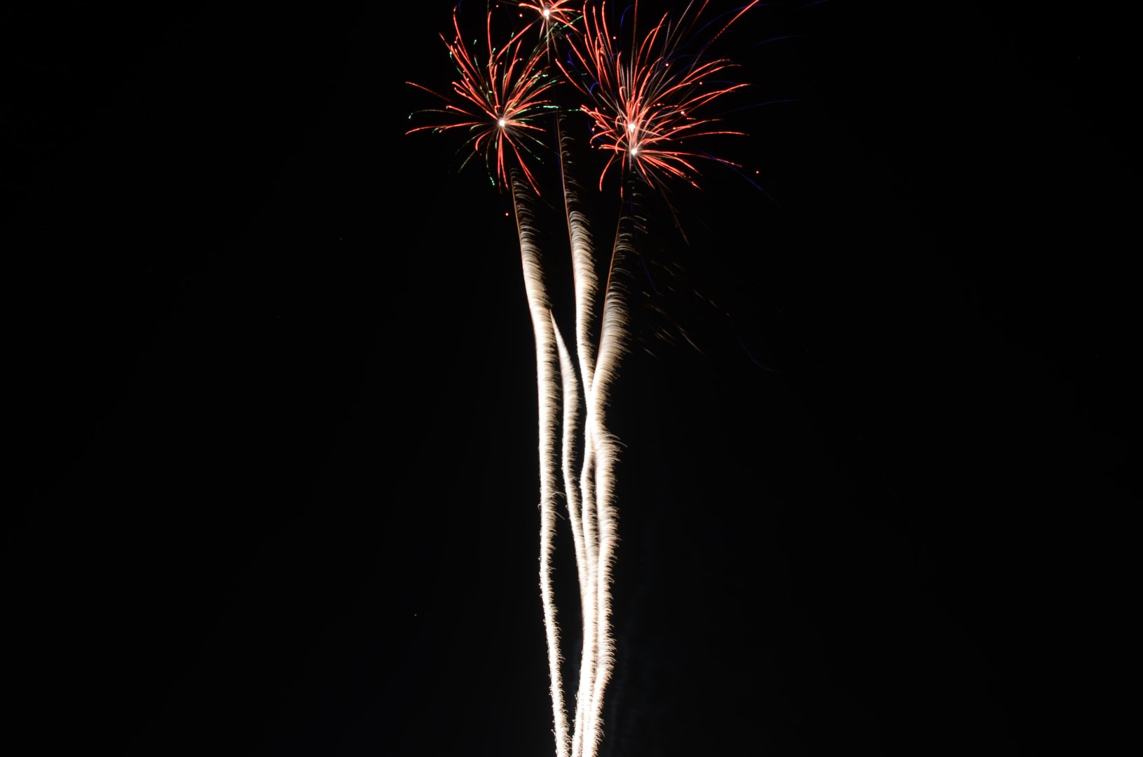 DSC_5050.JPG