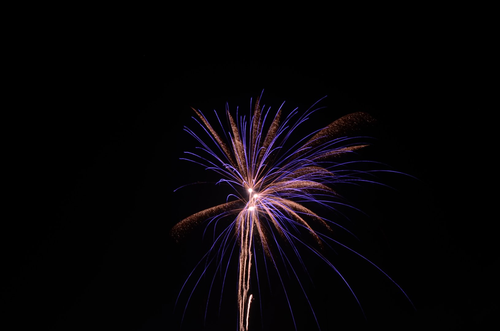 DSC_5067.JPG
