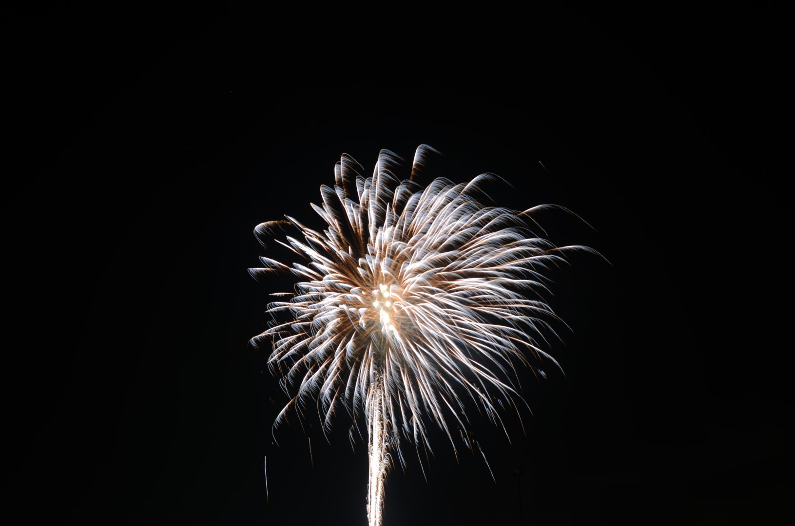 DSC_5082.JPG