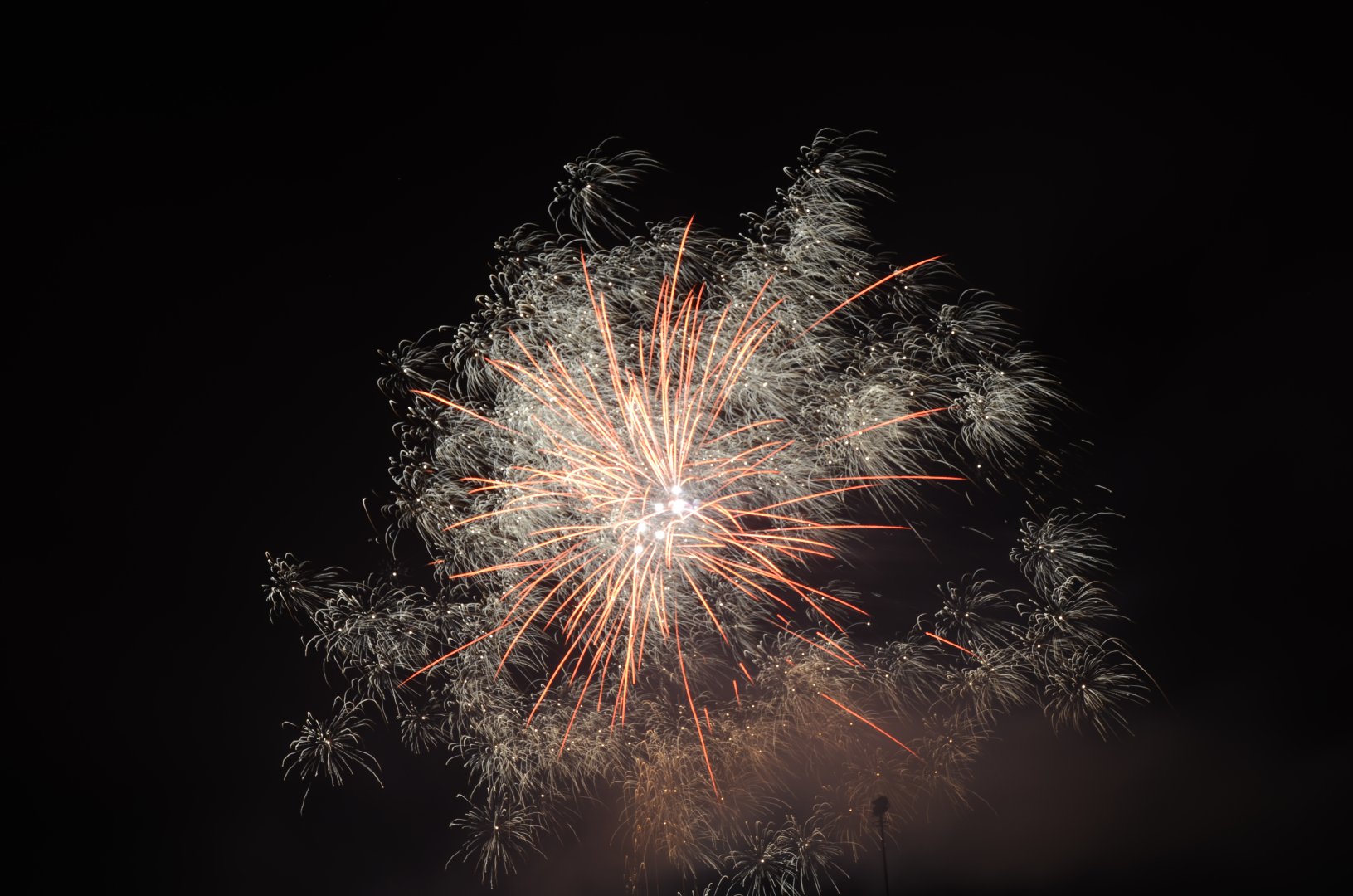 DSC_5134.JPG