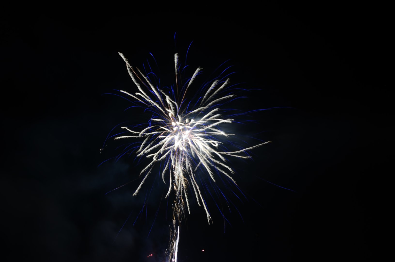 DSC_5198.JPG