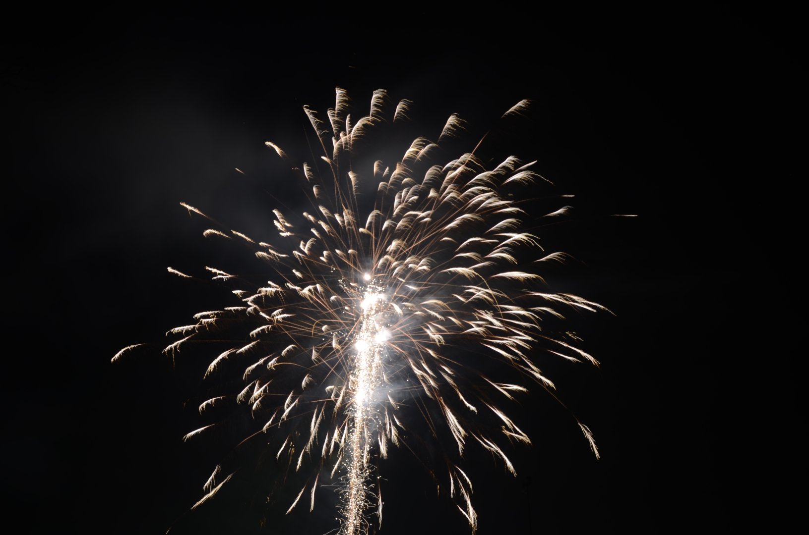 DSC_5207.JPG