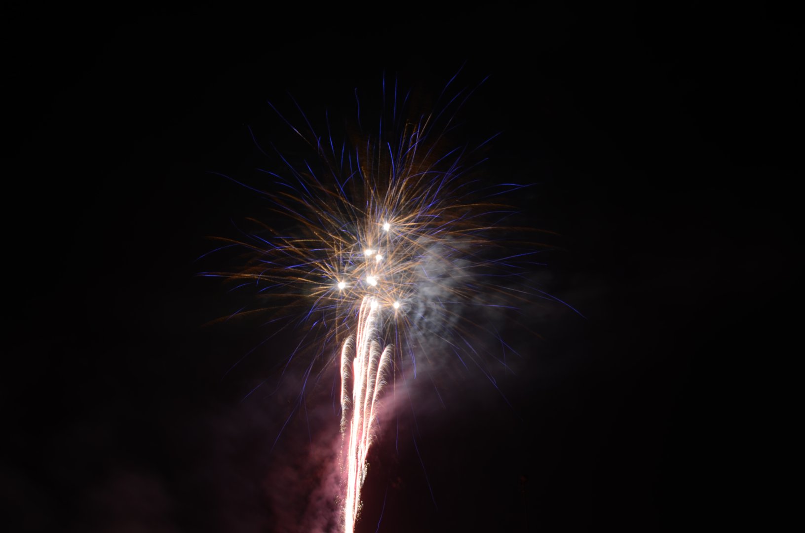 DSC_5217.JPG