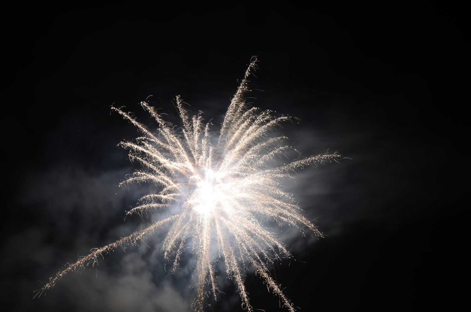 DSC_5230.JPG
