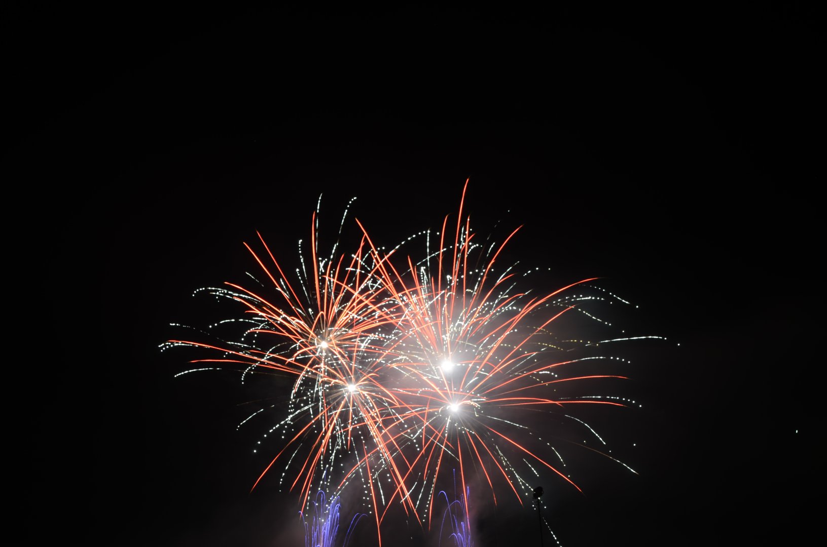 DSC_5288.JPG