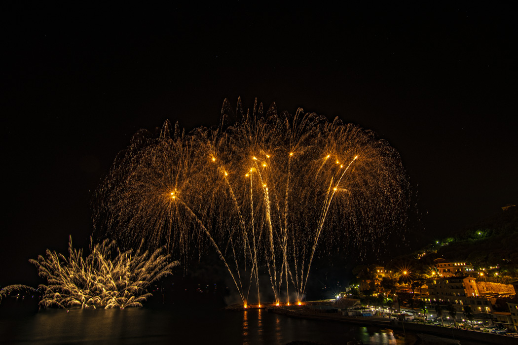 DSC_6087.jpg