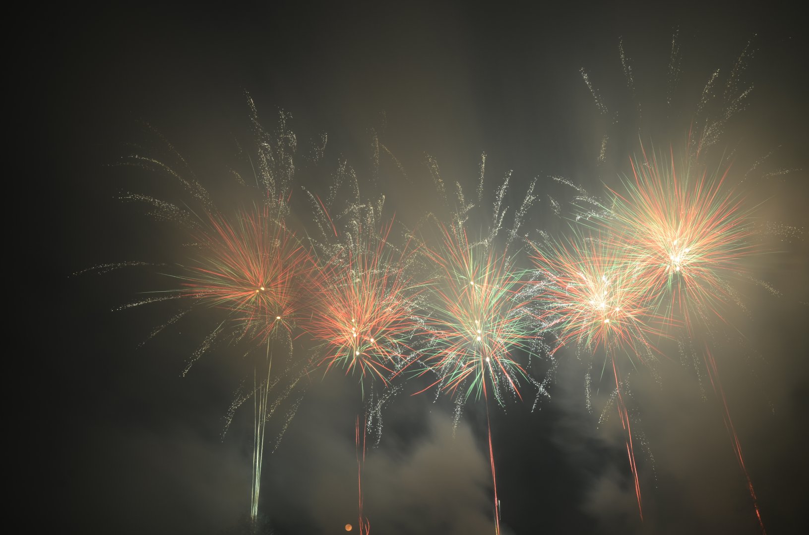 DSC_6337.JPG