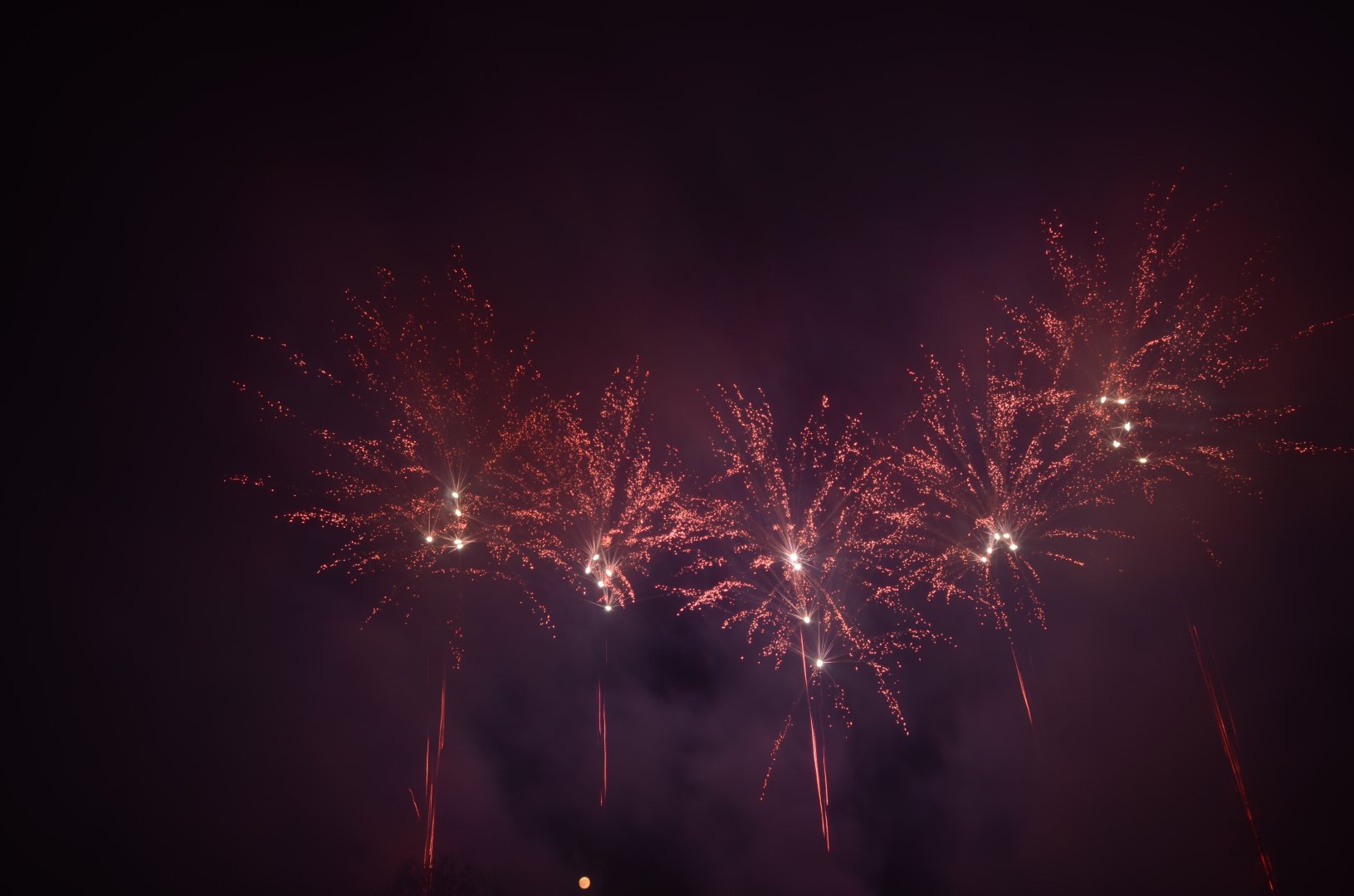 DSC_6344.JPG