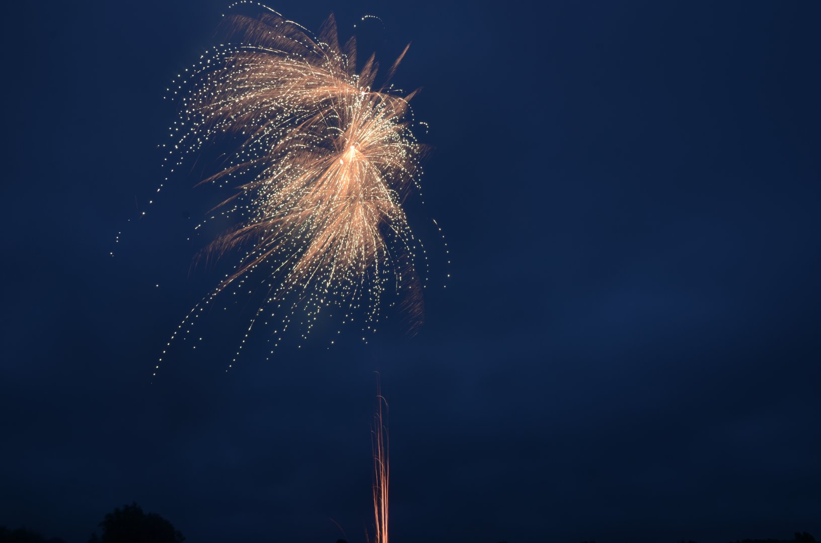 DSC_6394.JPG