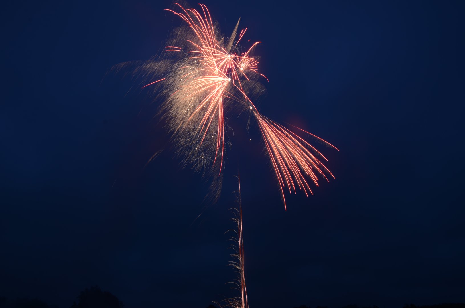DSC_6410.JPG