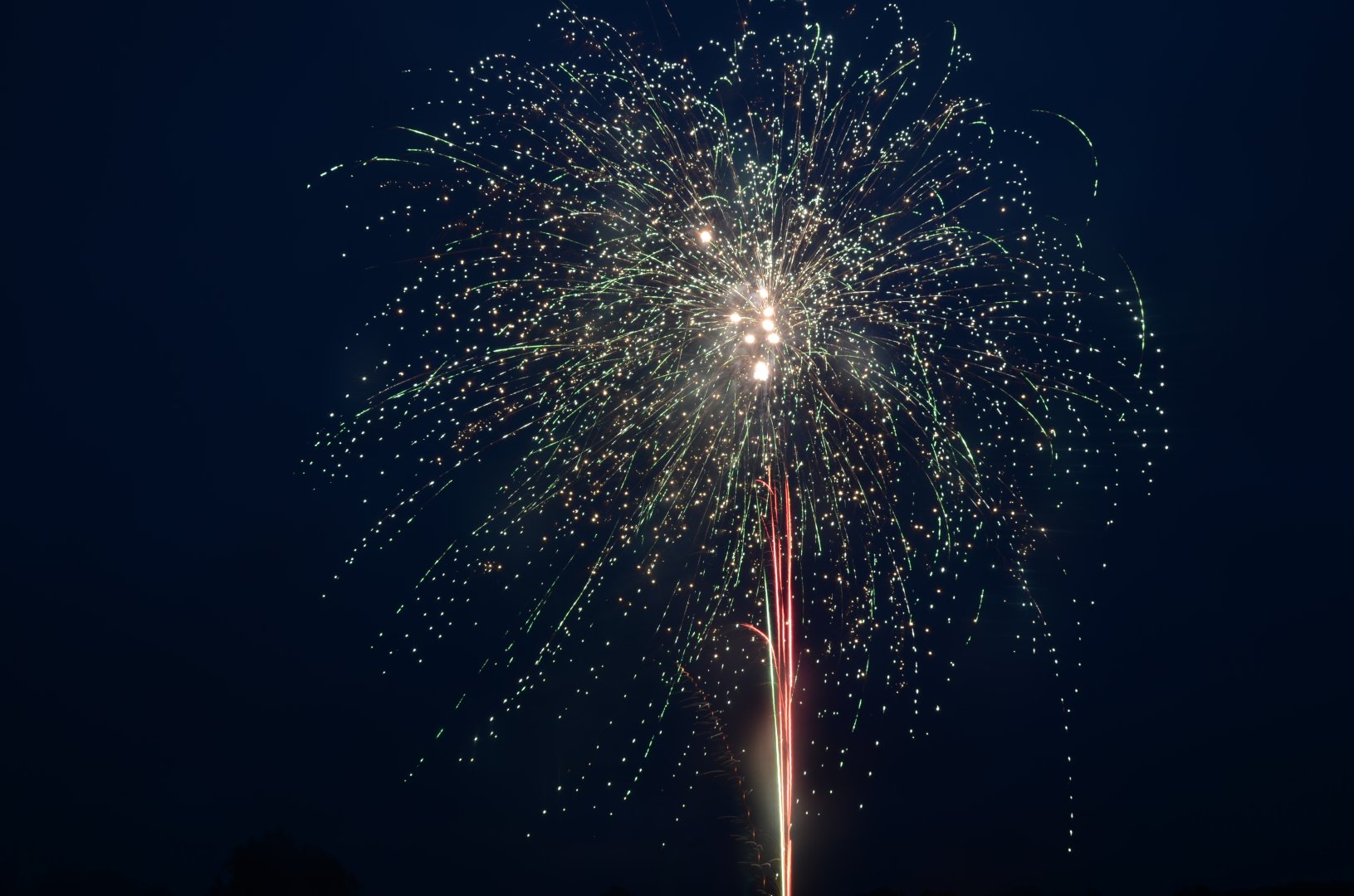 DSC_6482.JPG