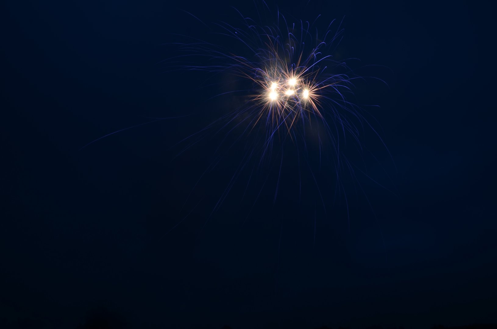 DSC_6488.JPG