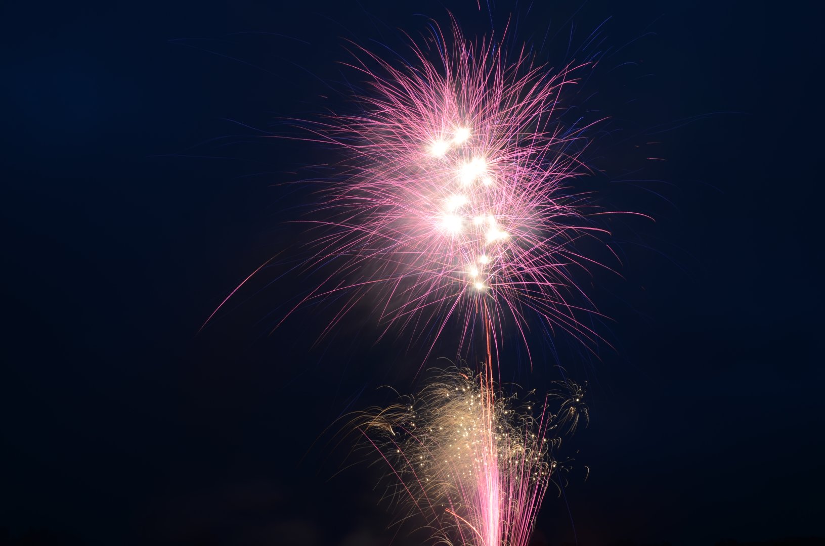 DSC_6493.JPG