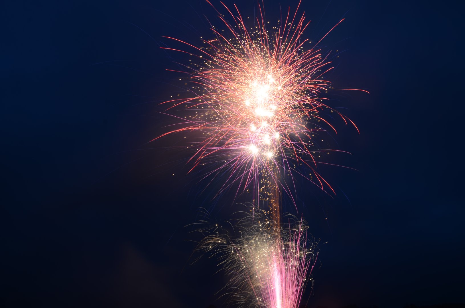 DSC_6496.JPG