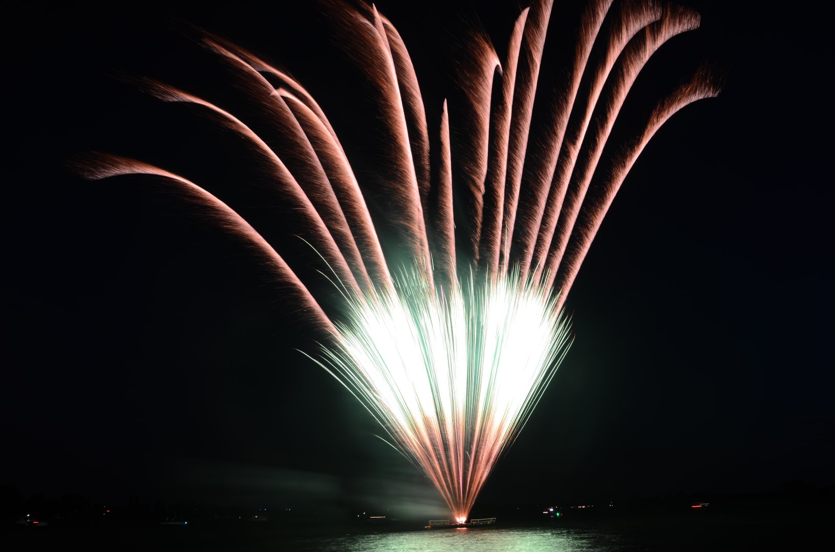 DSC_6571.JPG