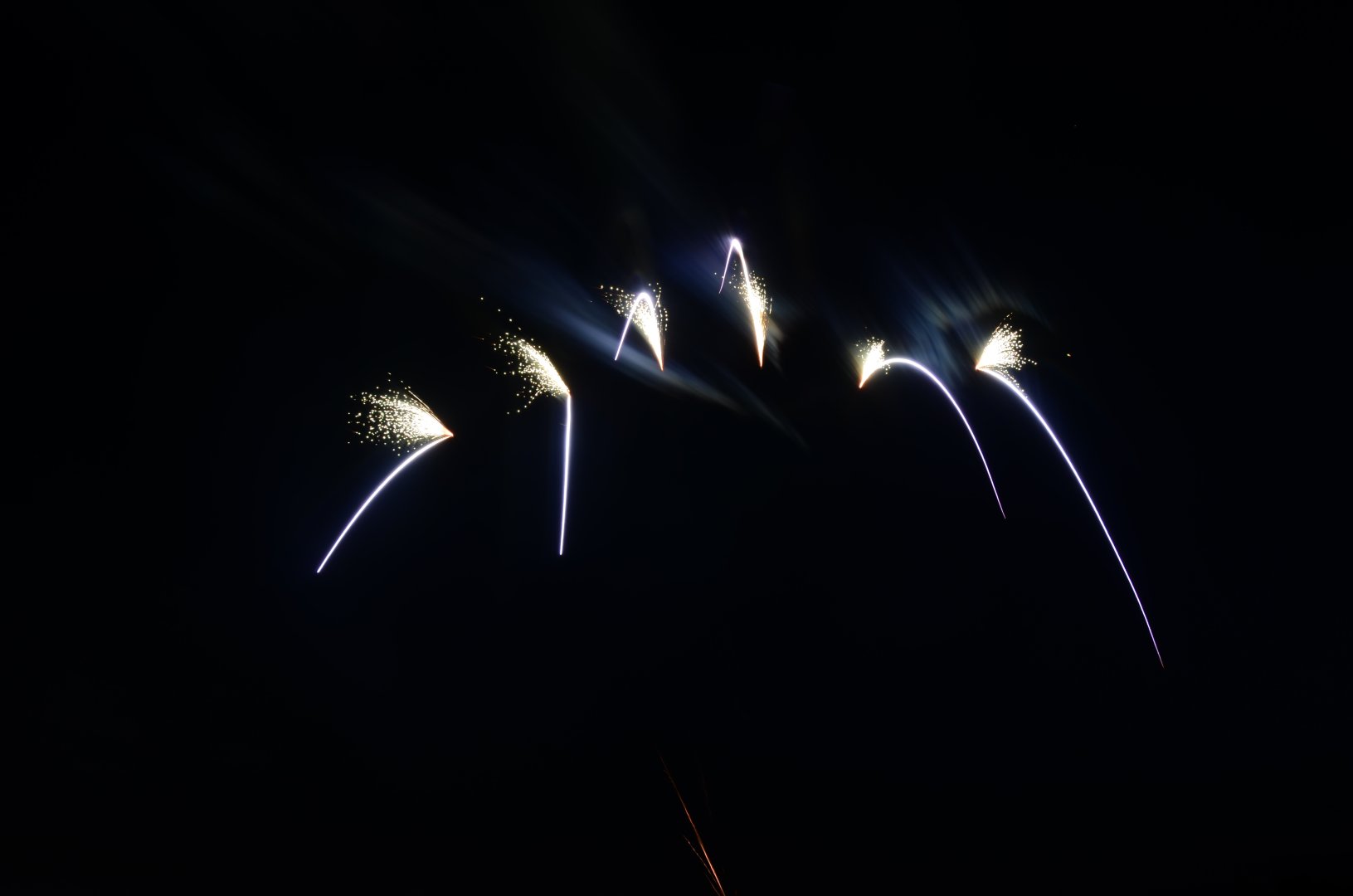 DSC_6599.JPG