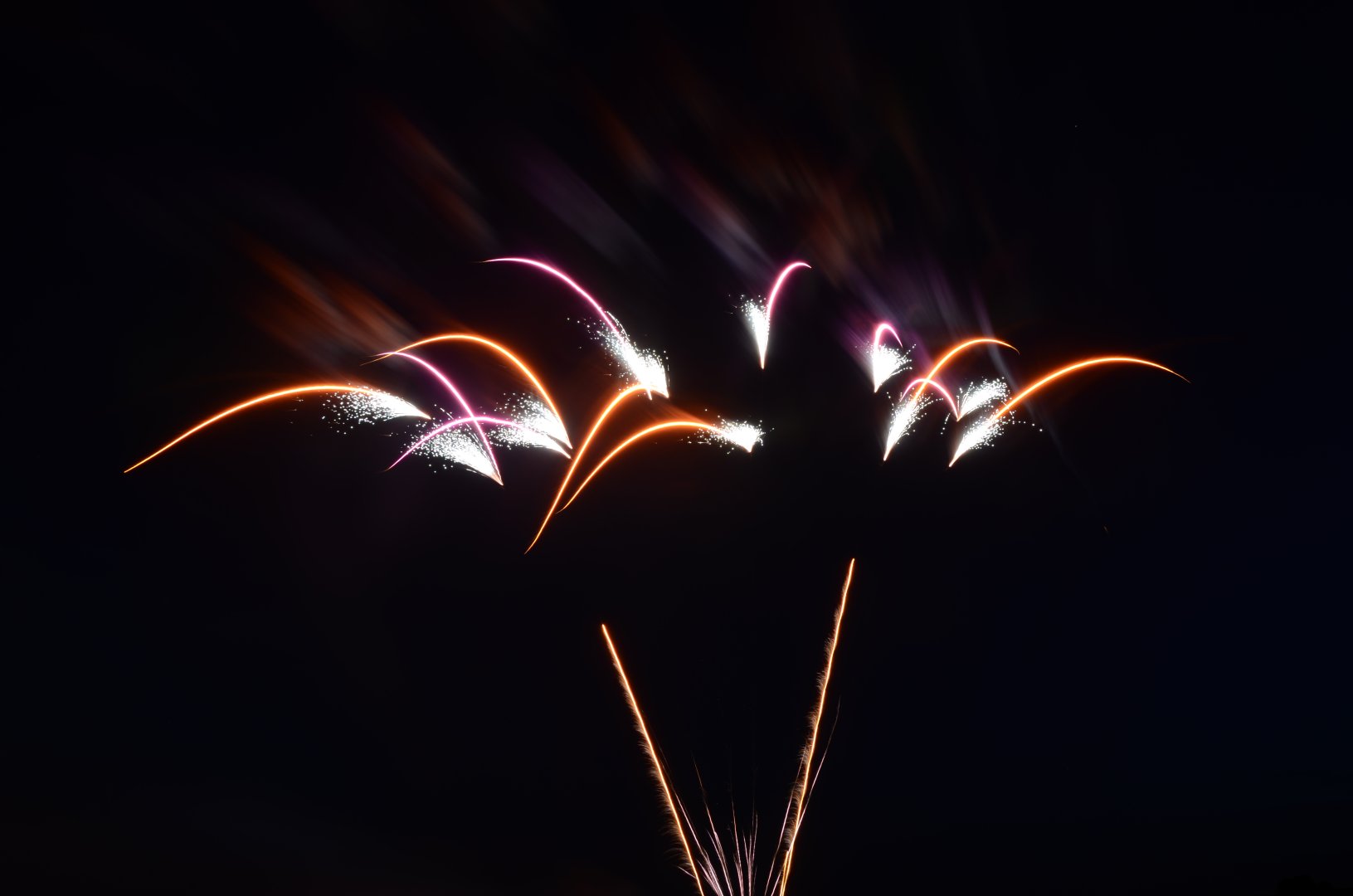 DSC_6601.JPG