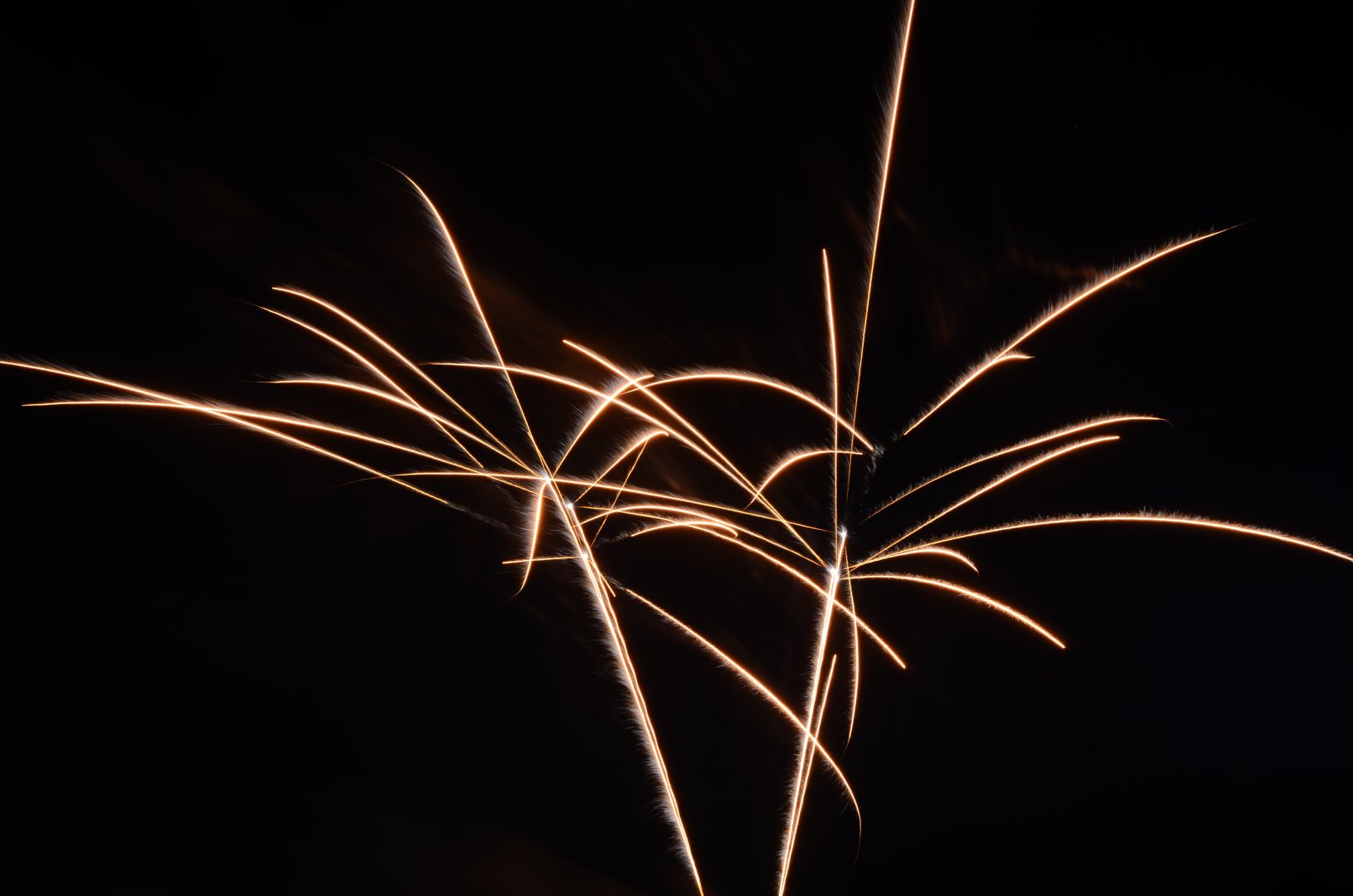 DSC_6602.JPG