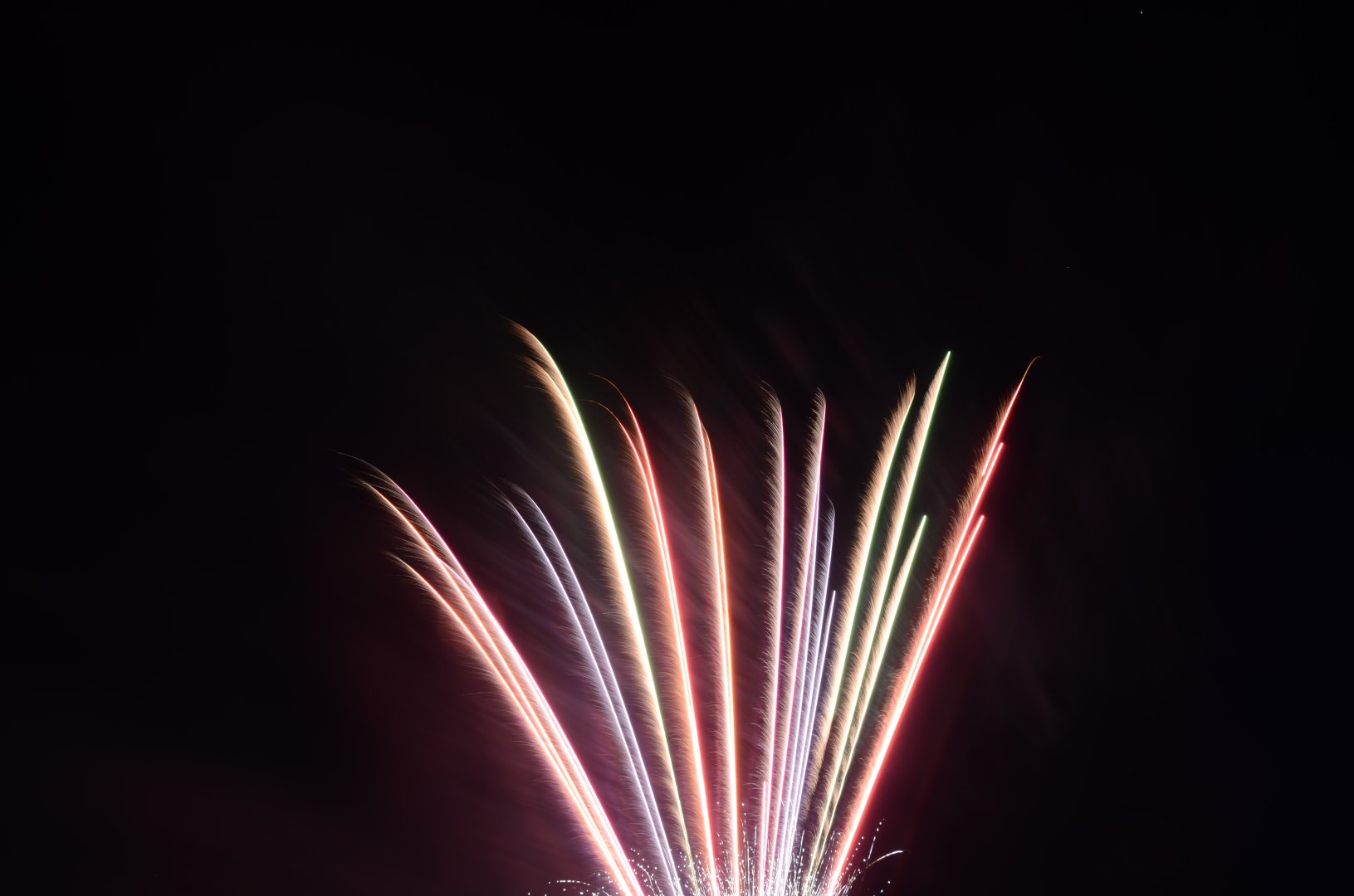 DSC_6639.JPG