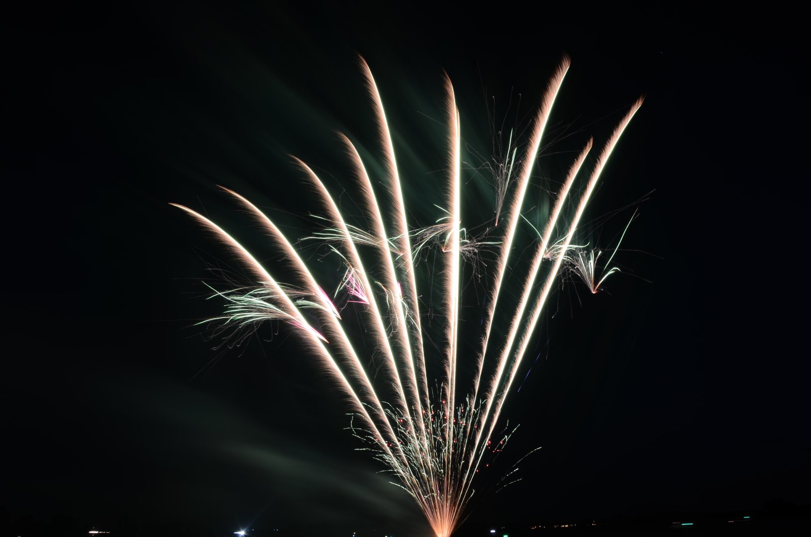 DSC_6644.JPG