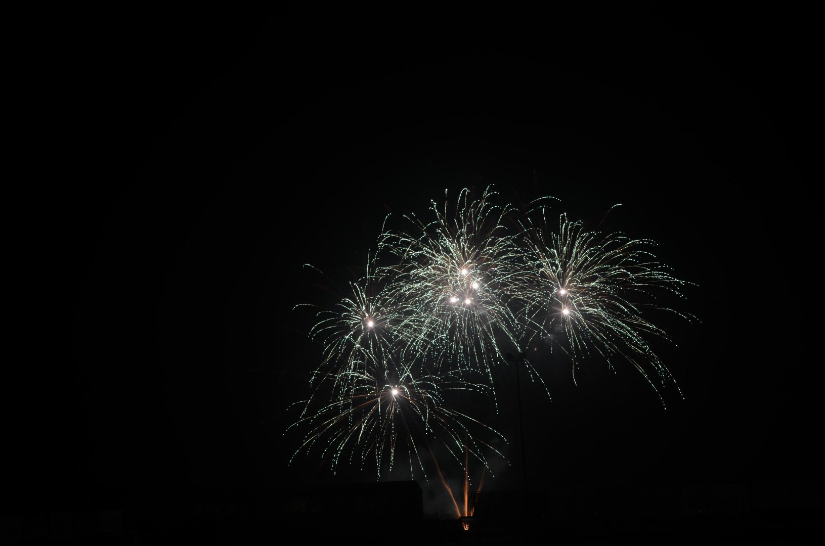 DSC_6861.JPG