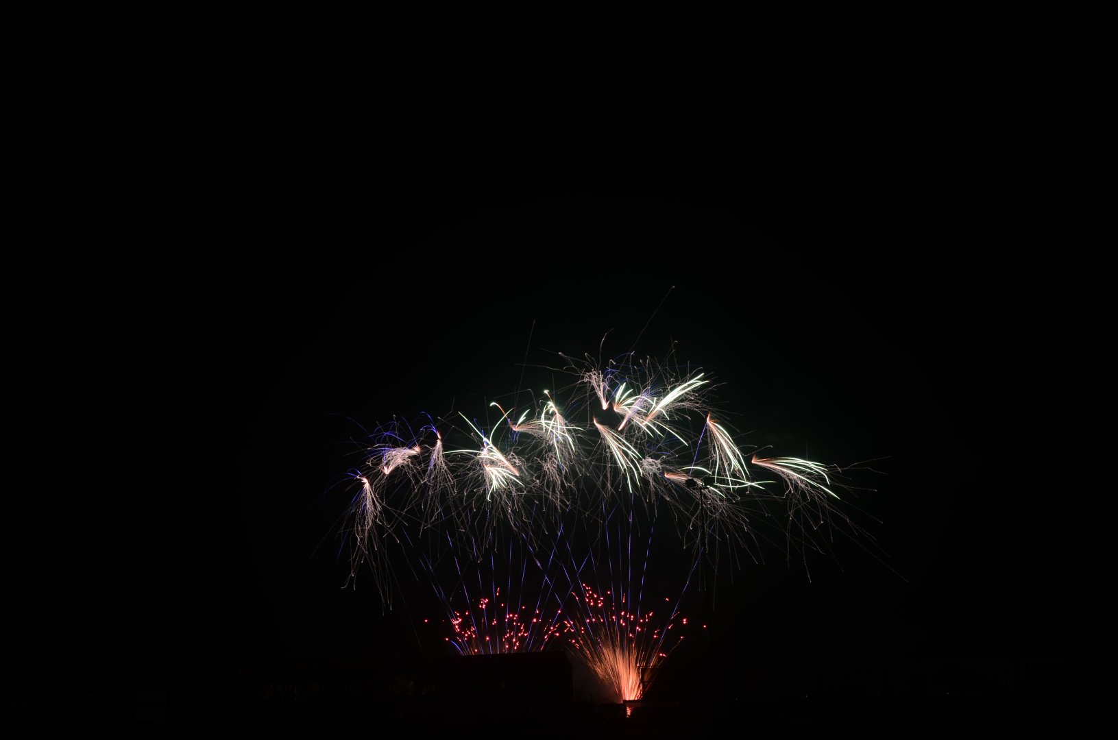 DSC_6879.JPG