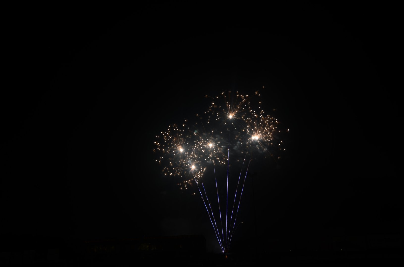 DSC_6886.JPG