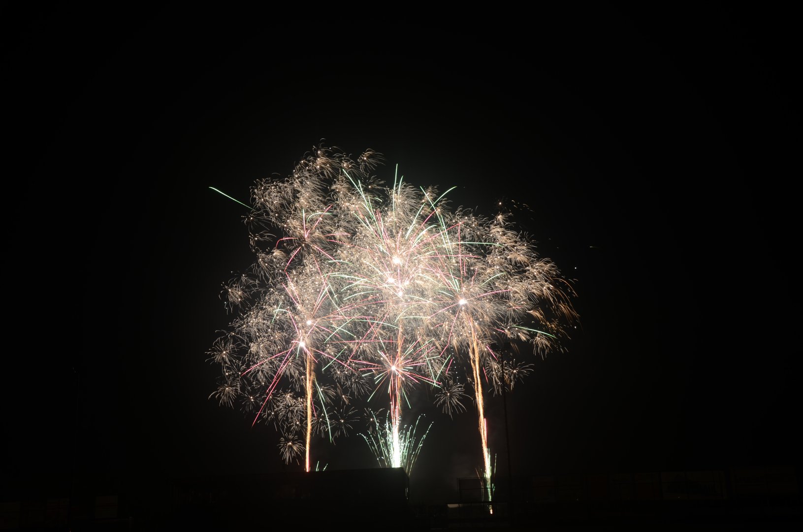 DSC_6923.JPG