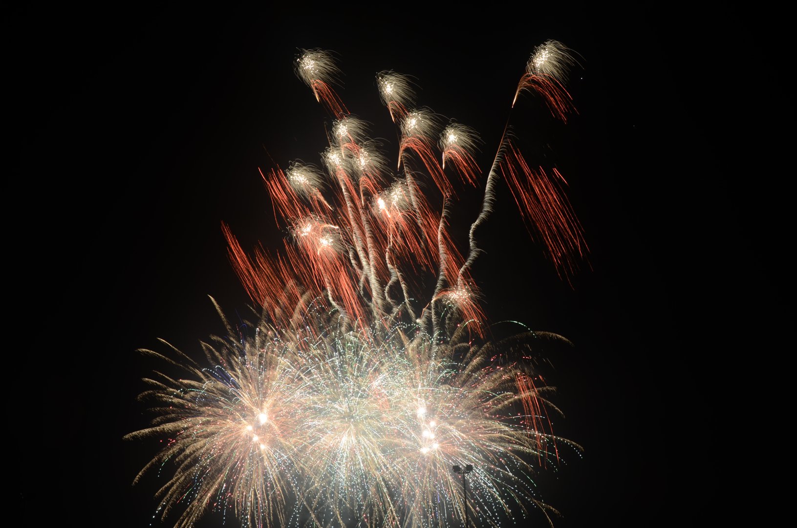 DSC_7002.JPG