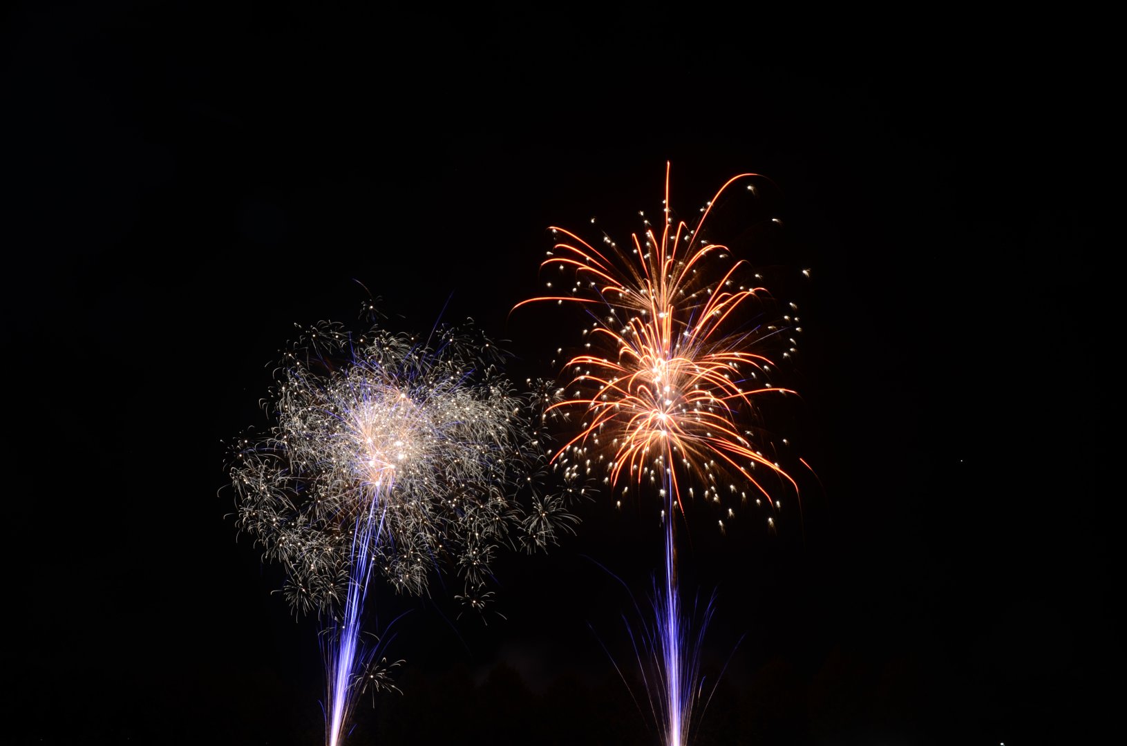 DSC_7477.JPG
