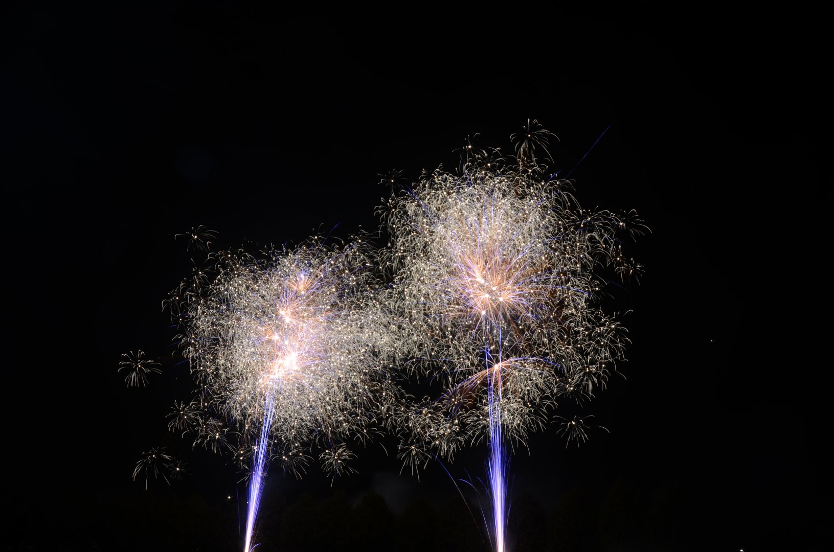 DSC_7478.JPG