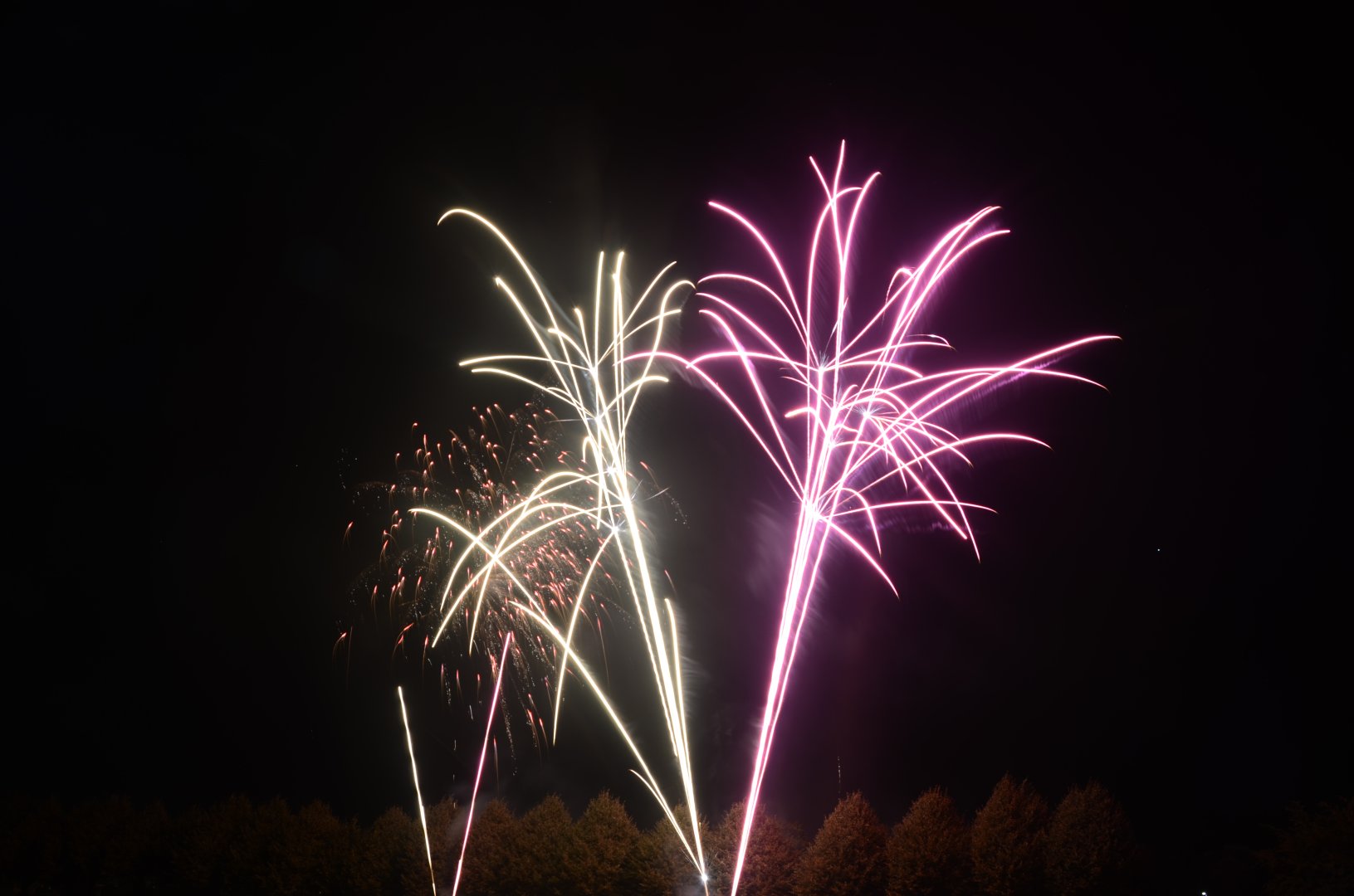 DSC_7487.JPG