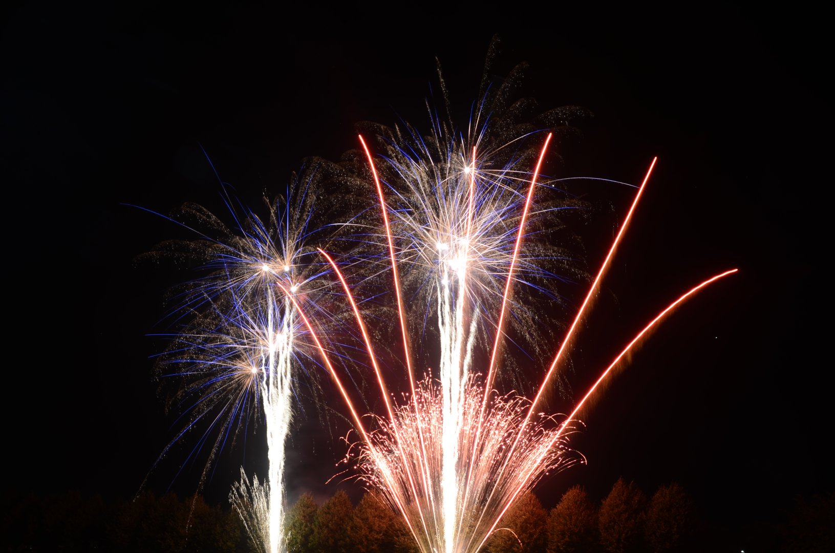 DSC_7497.JPG