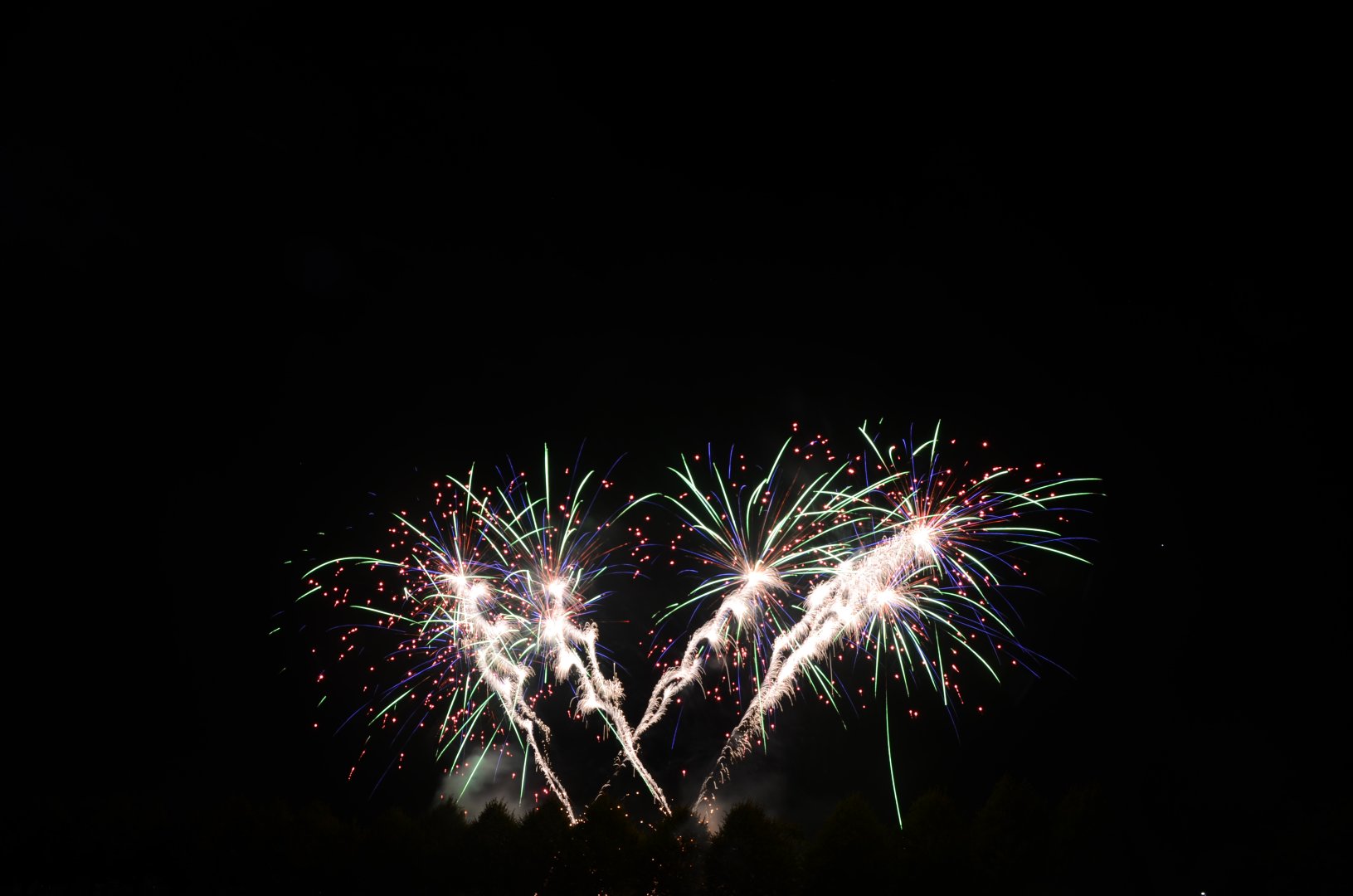 DSC_7505.JPG