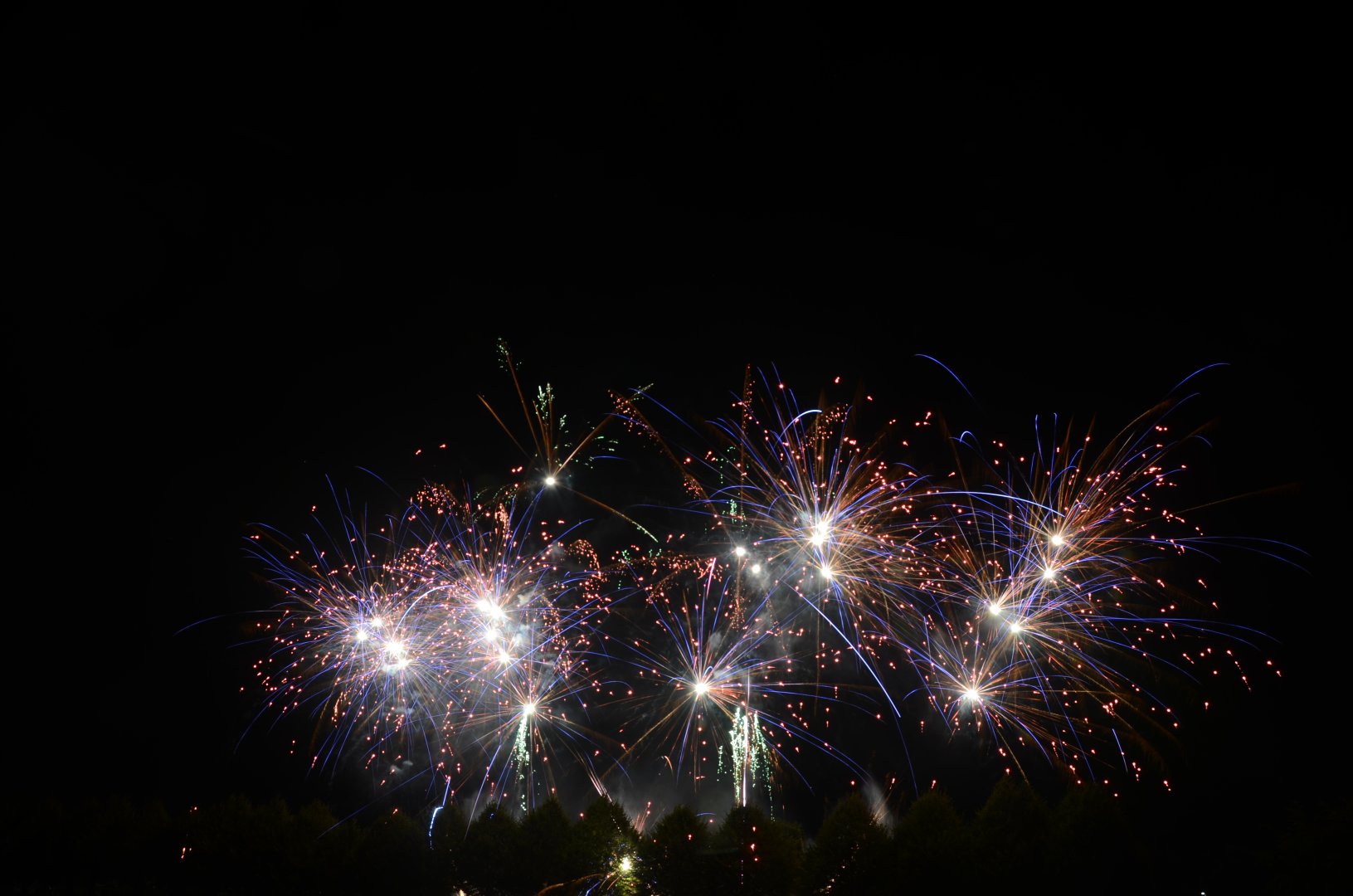 DSC_7526.JPG