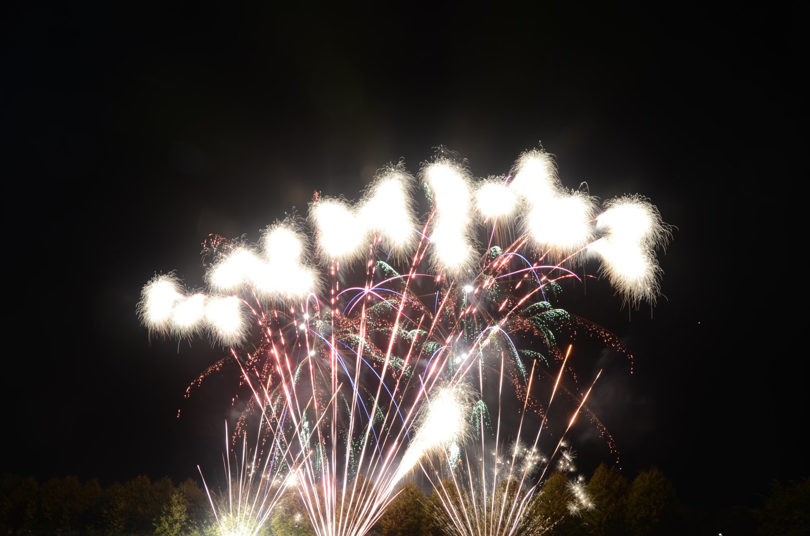 DSC_7530.JPG