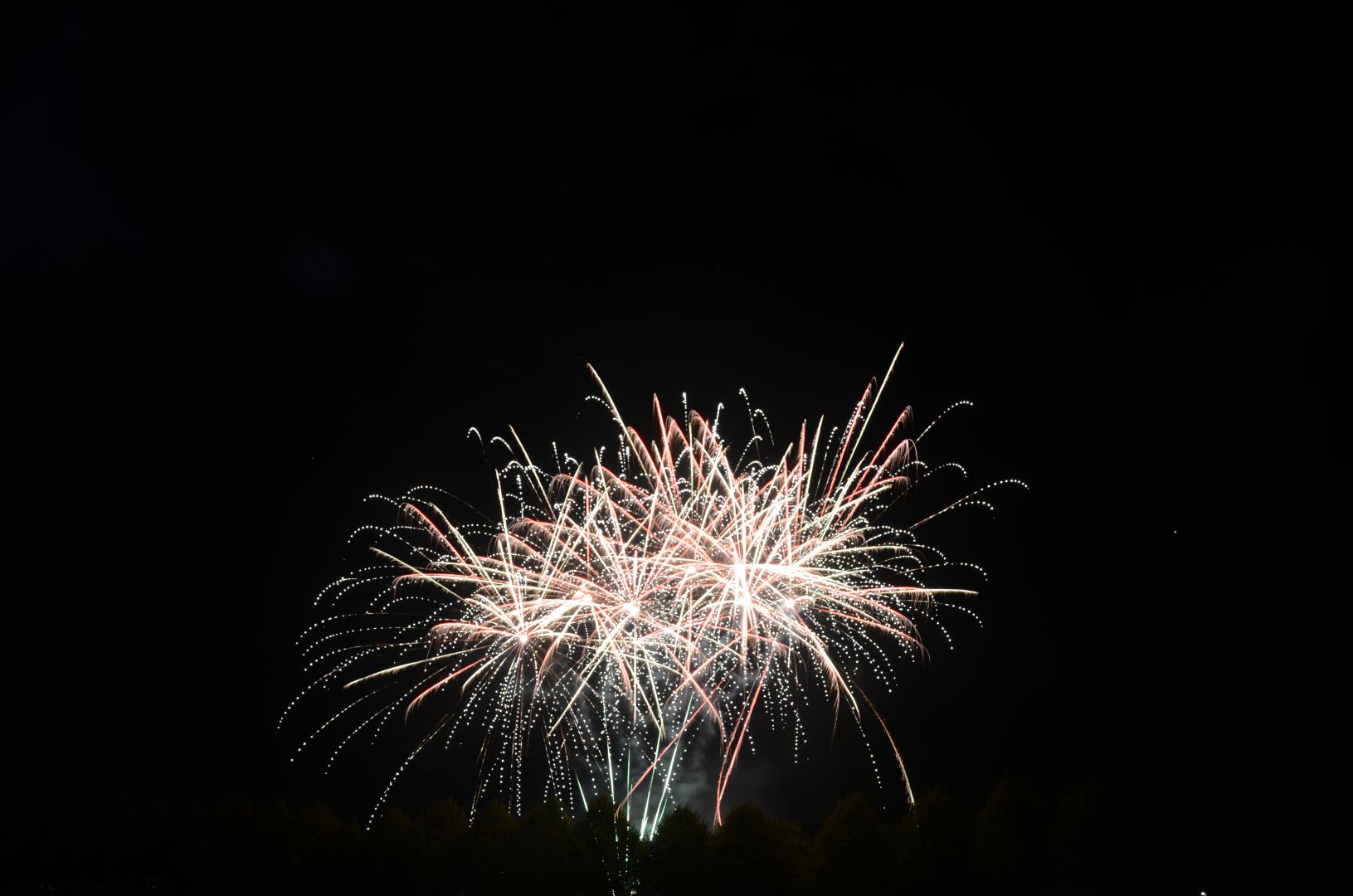 DSC_7557.JPG