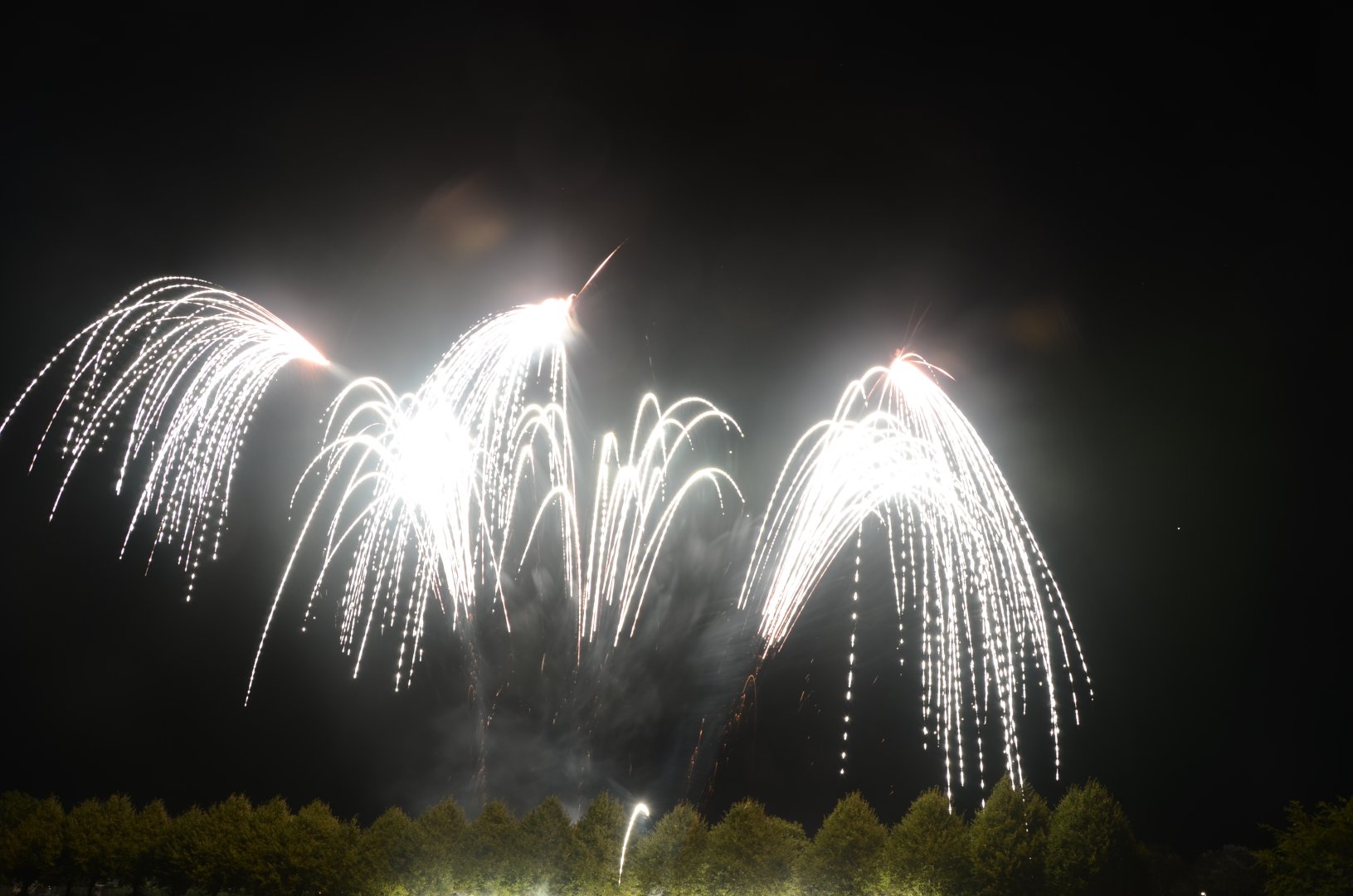 DSC_7565.JPG