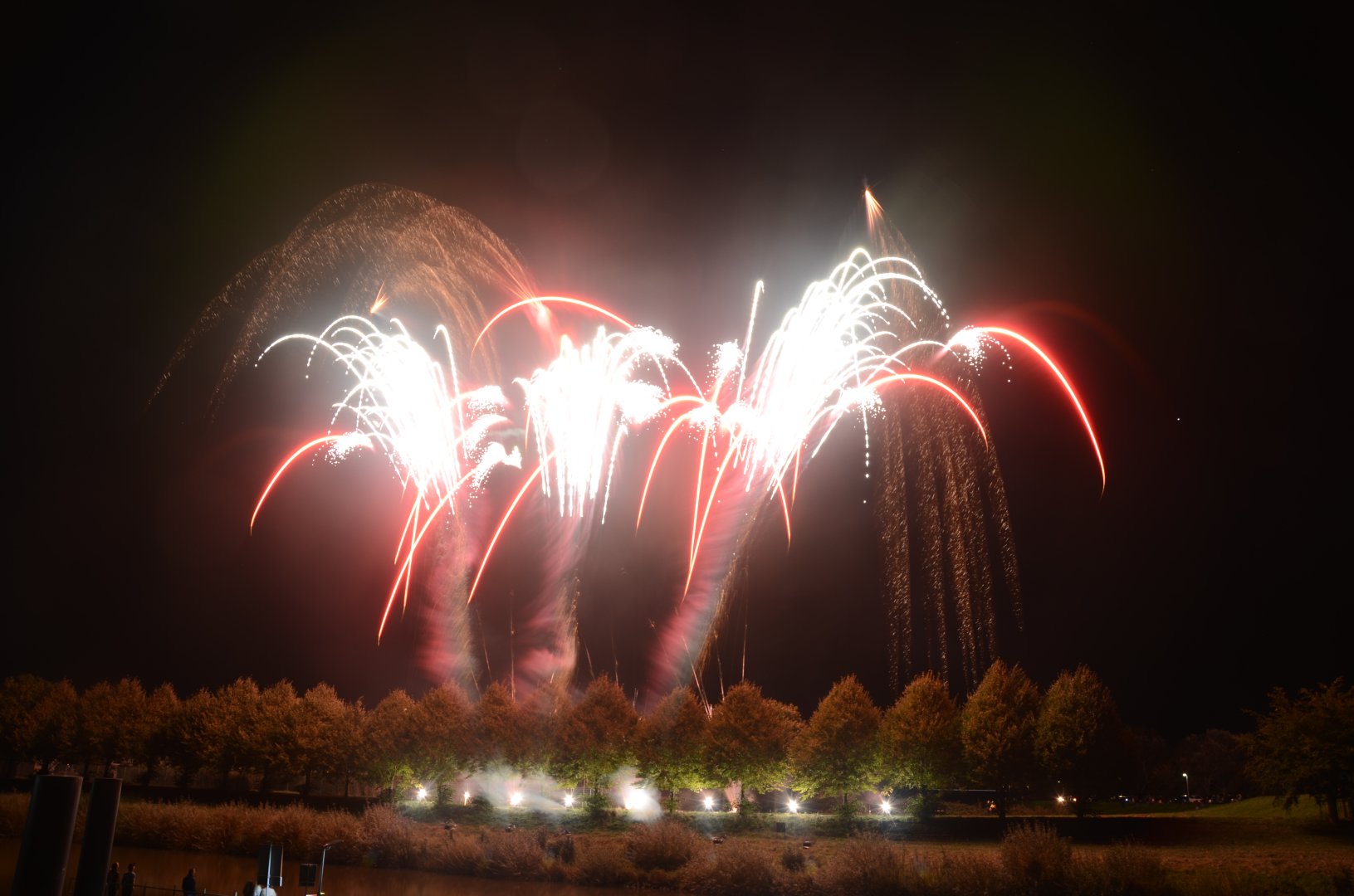 DSC_7569.JPG