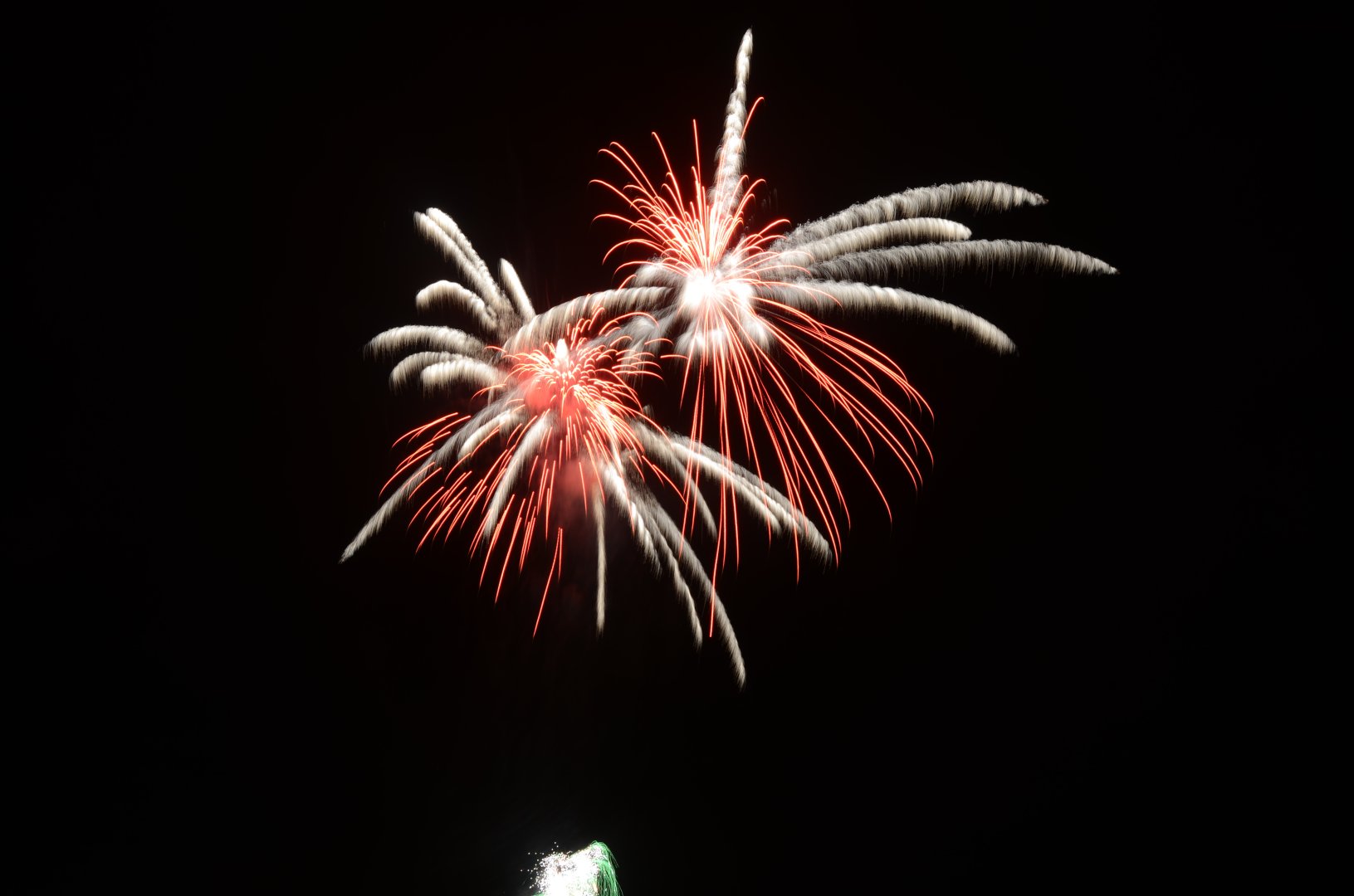 DSC_7905.JPG