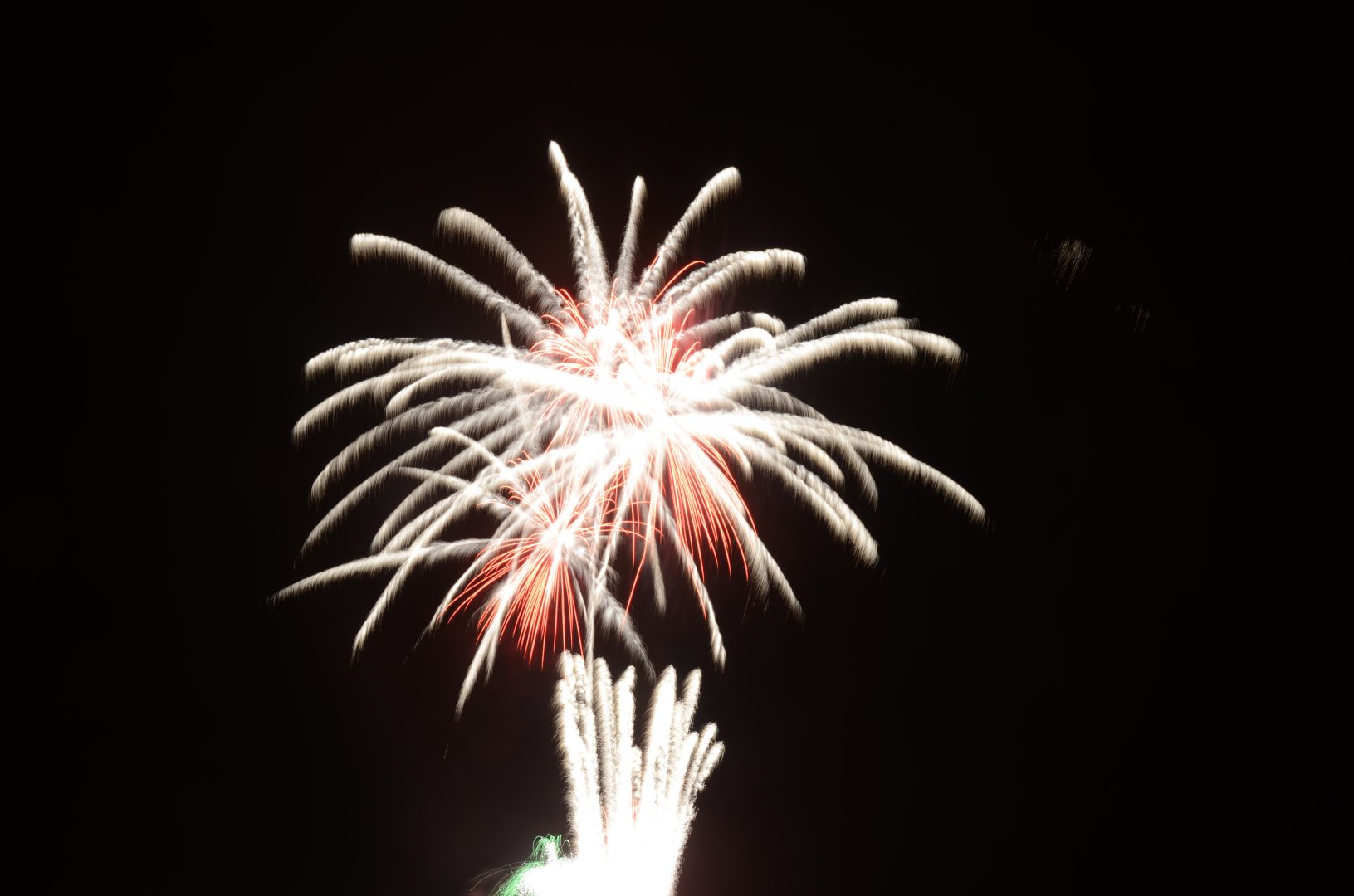 DSC_7906.JPG