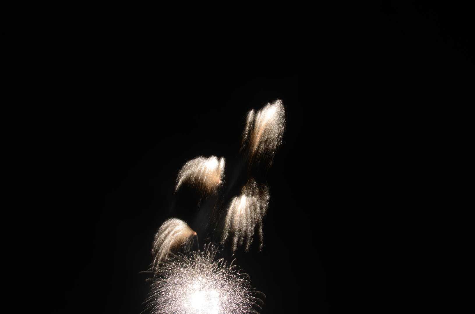 DSC_7933.JPG