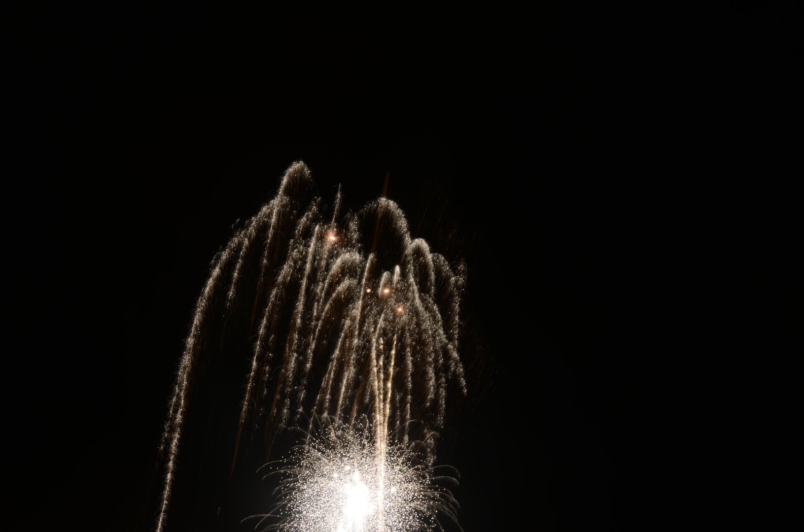DSC_7943.JPG