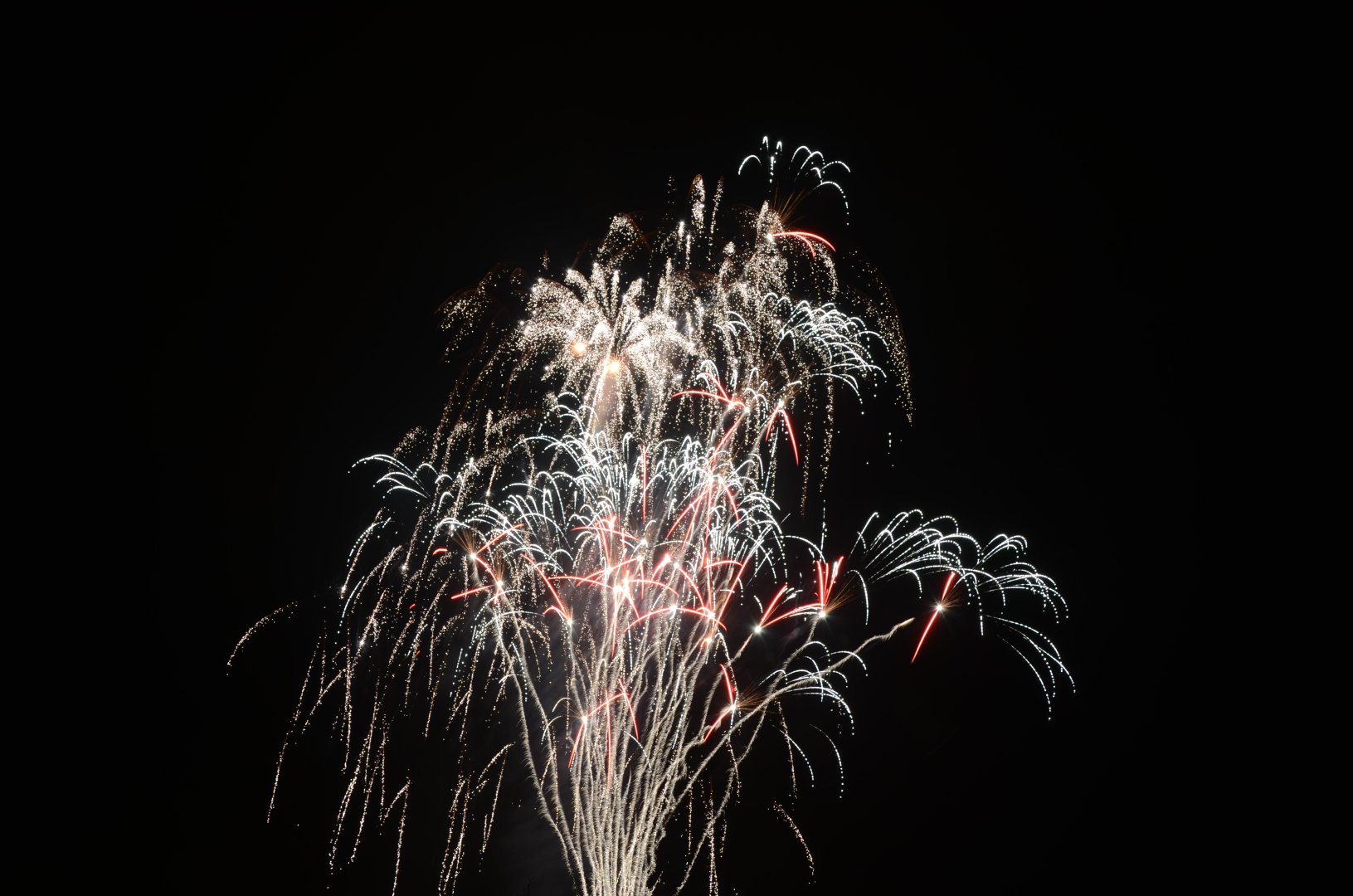 DSC_7955.JPG