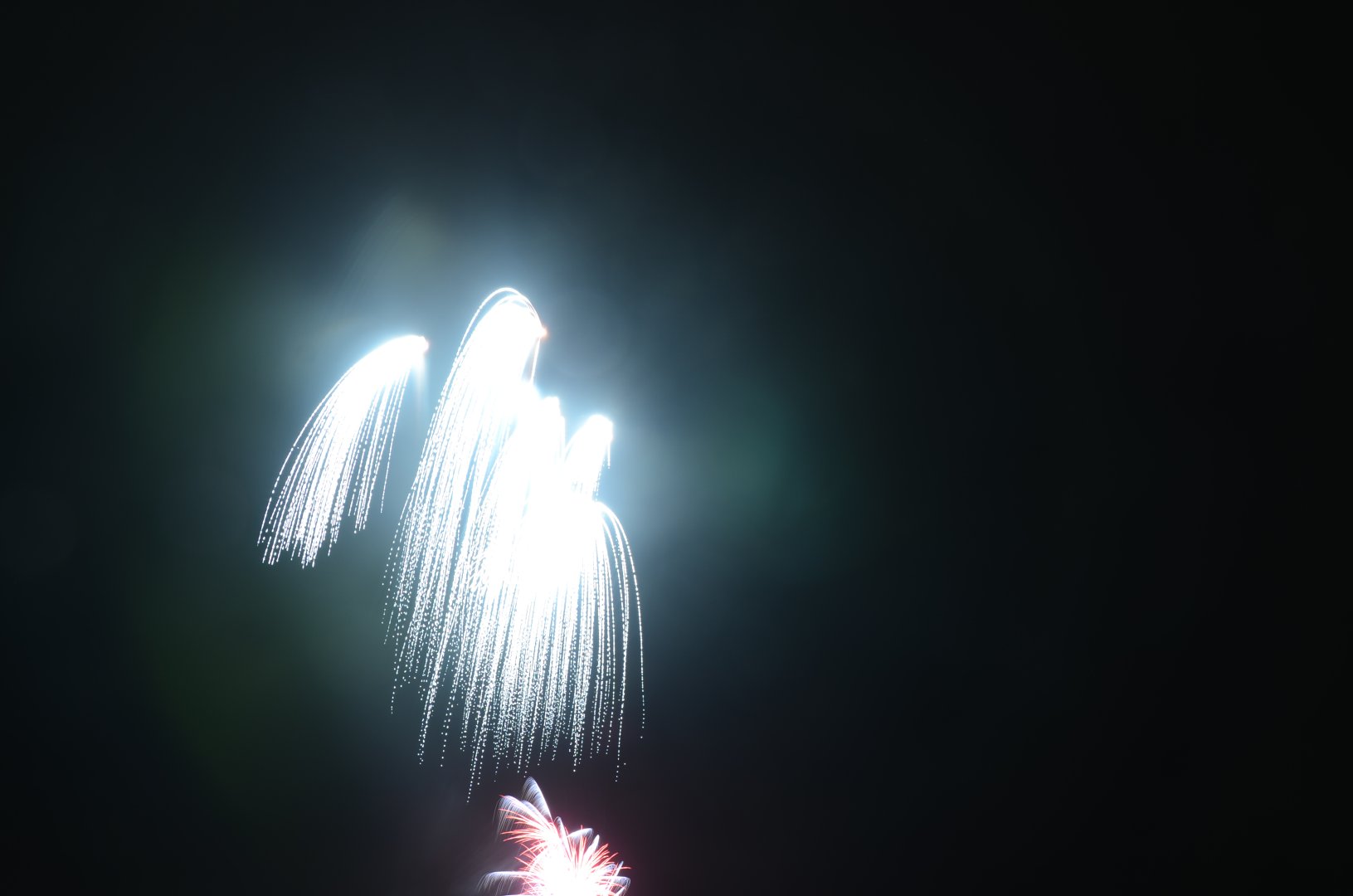 DSC_7992.JPG