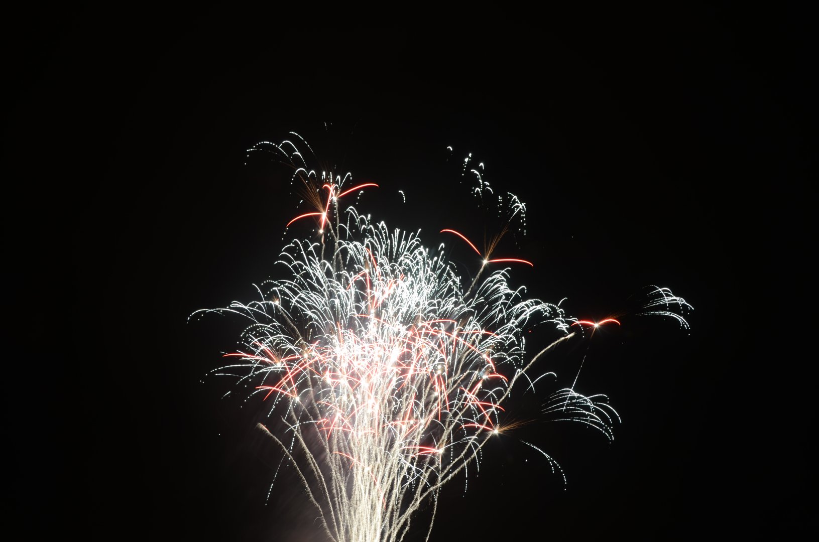 DSC_8010.JPG