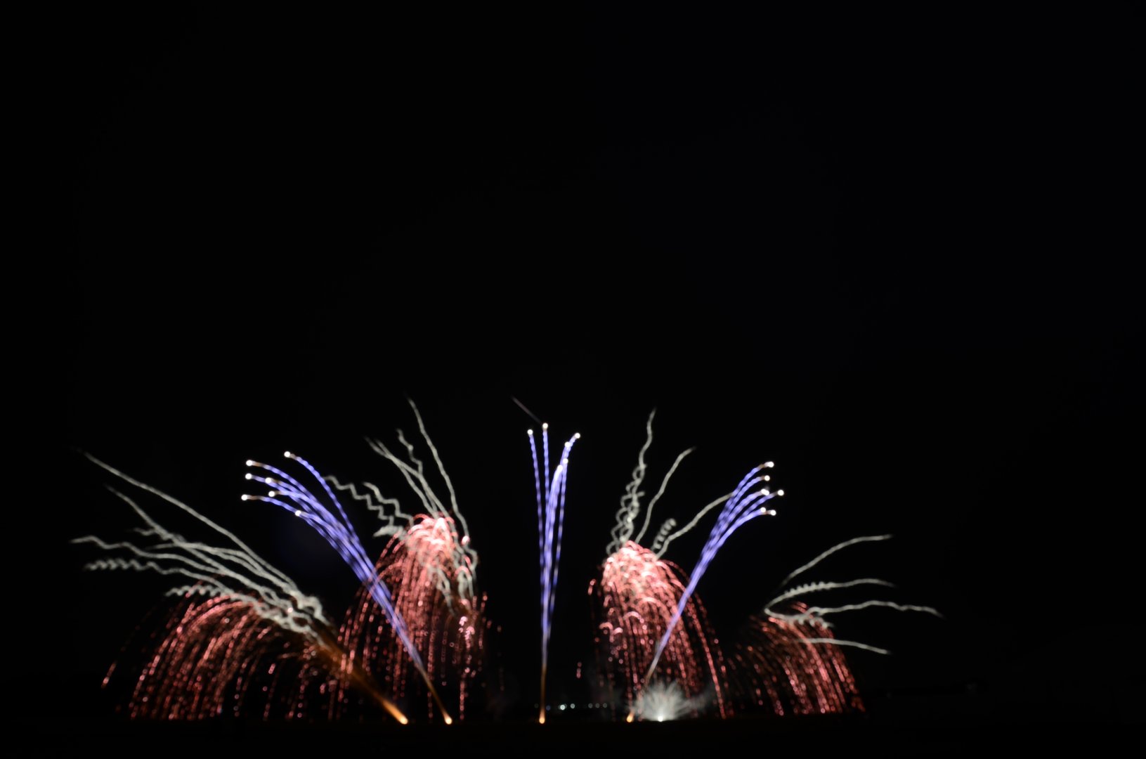 DSC_8782.JPG