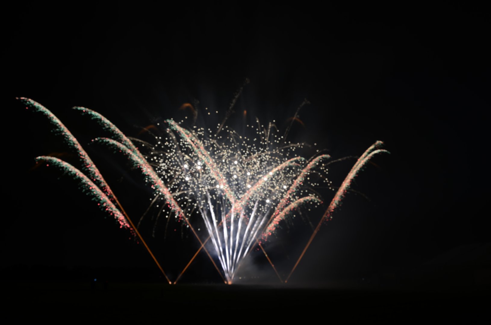 DSC_8836.JPG