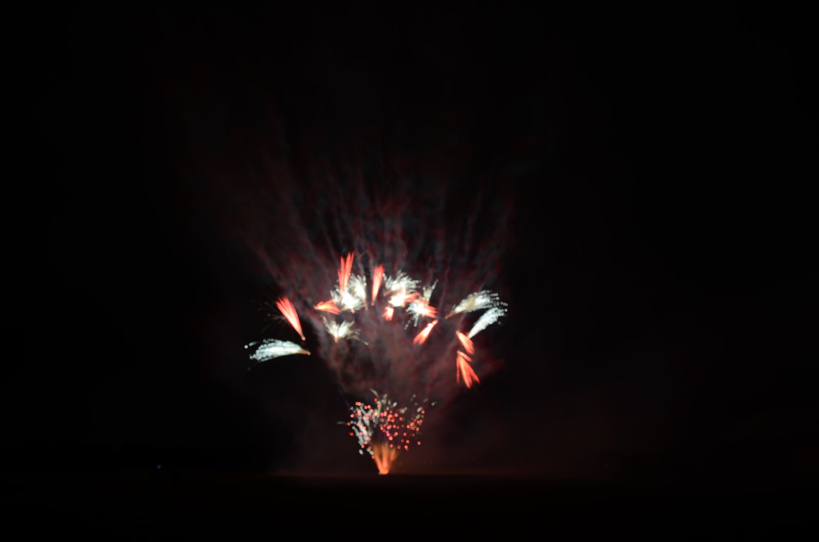 DSC_8845.JPG